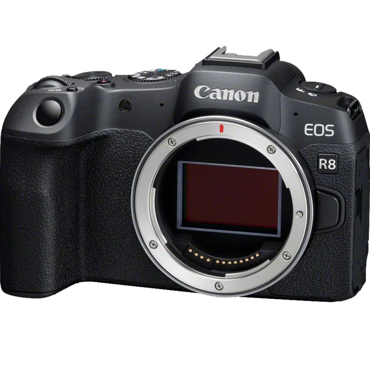 Canon EOS R8 Mirrorless Digital Camera Body Black + RF 24-105mm F4-7.1 IS STM Lens - Black (EOS R8+24-105mm) - Image 7