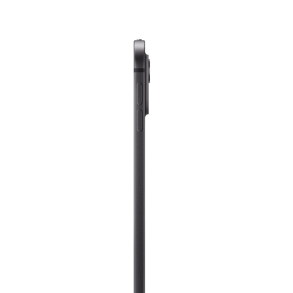 13-inch iPad Pro M4 Chip WiFi 256GB with Standard Glass - Space Black (MVX23AB/A) - Image 3